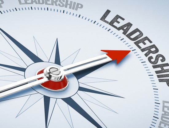 TOP MANAGEMENT ET LEADERSHIP